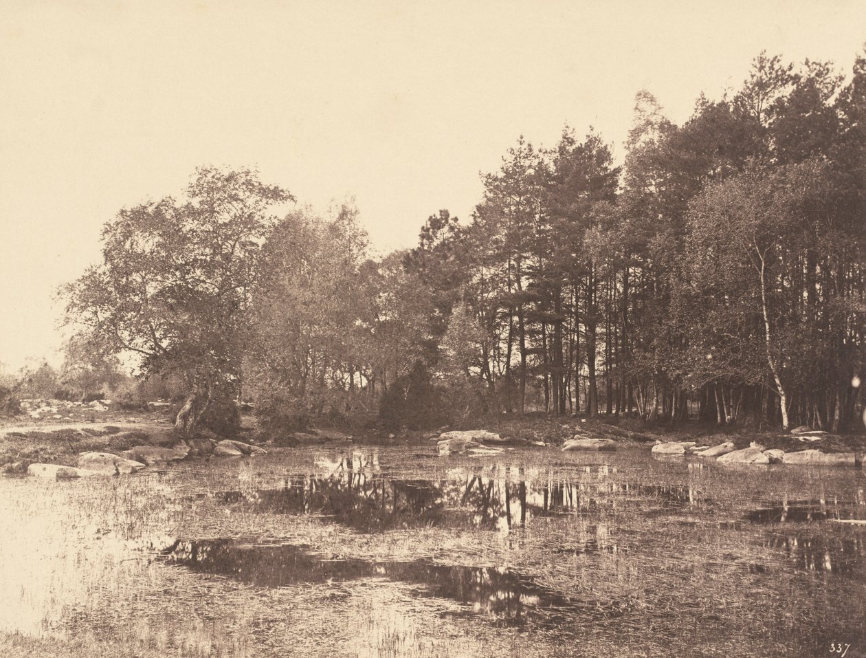ピアットの湿原（ベル・クロワ高原）、1863年頃（写真） 作： ウジェーヌ・キュヴェリエ