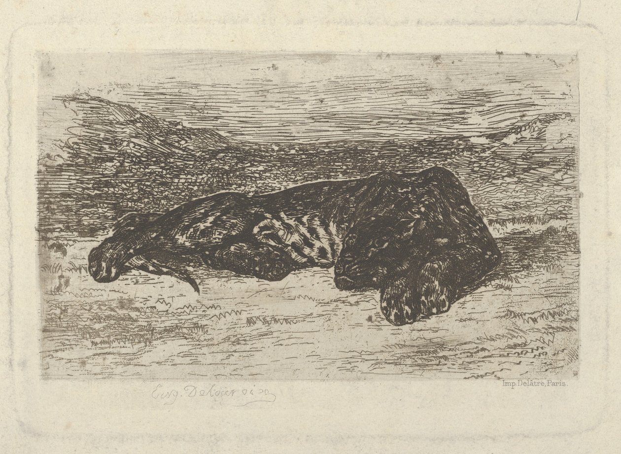 砂漠に横たわる虎、1846 ., 1846 . 作： ウジェーヌ・ドラクロワ