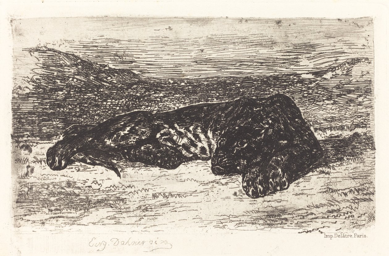 砂漠で眠る虎、c。 1830年。 作： ウジェーヌ・ドラクロワ