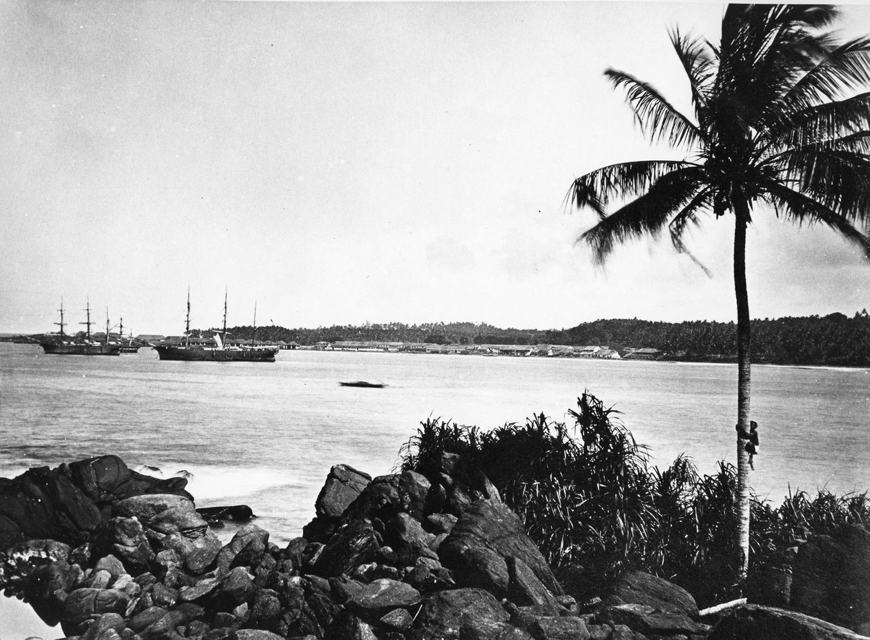 コロンボ港、1860〜80年頃 作： ヨーロッパの写真家