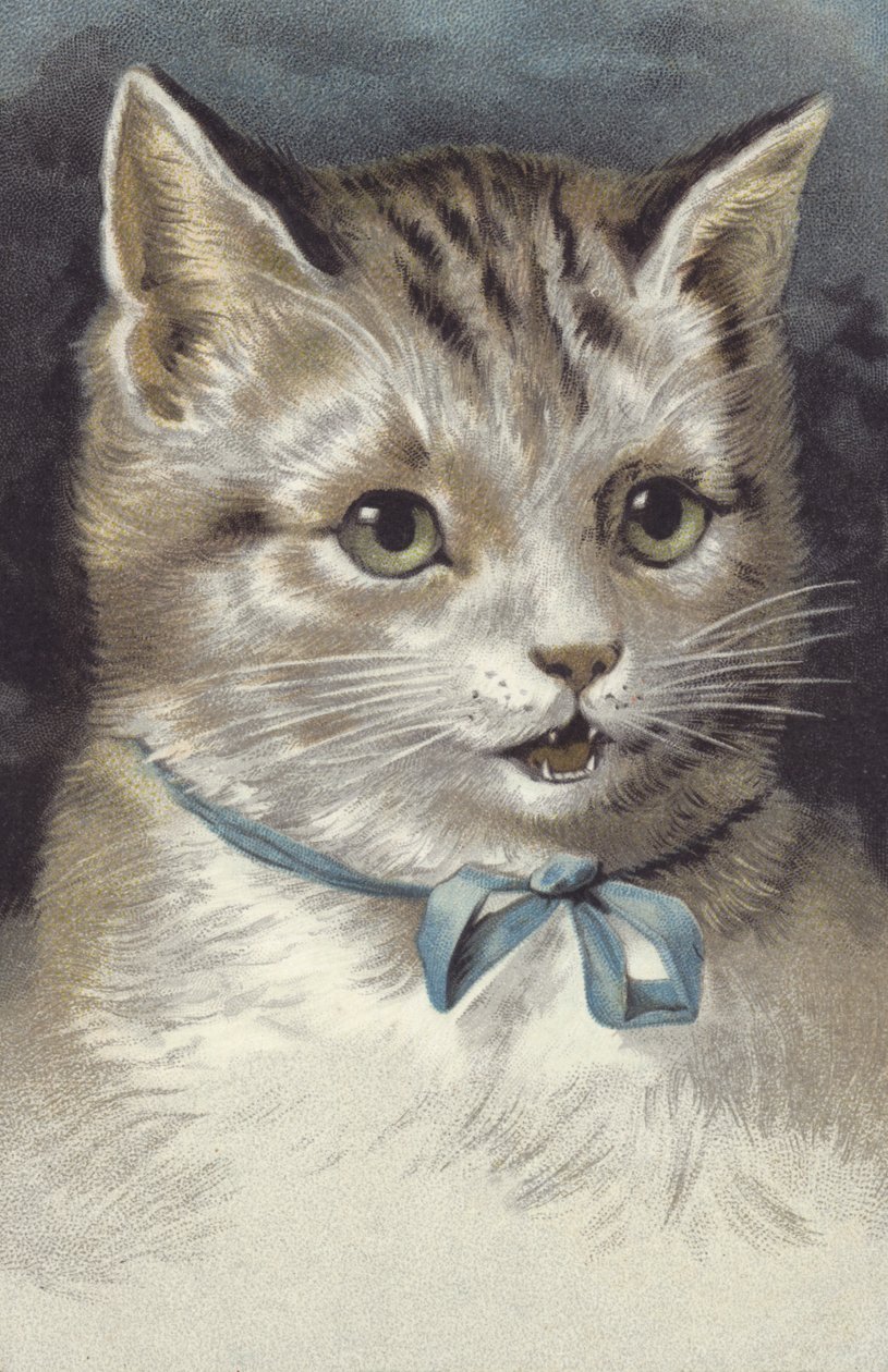 青い首輪の猫（クロモリソ） 作： ヨーロピアンスクール