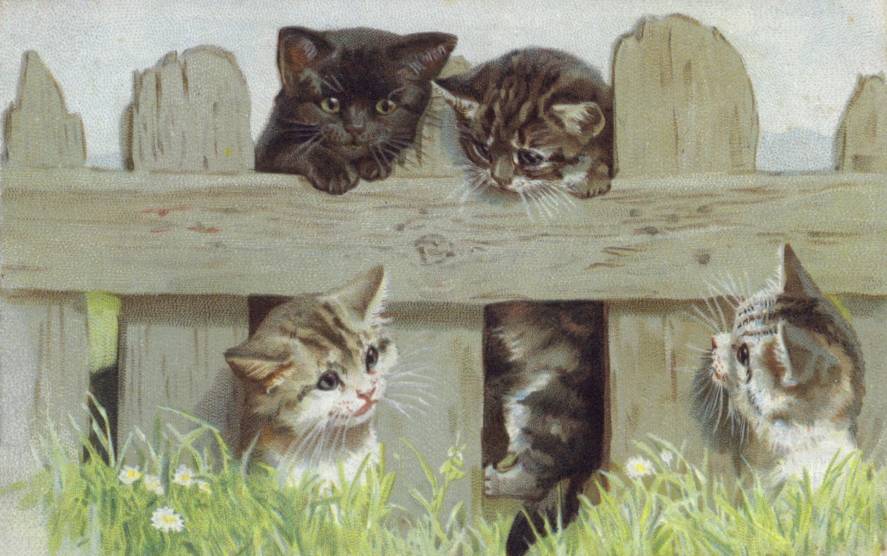 フェンスのそばの4匹の子猫（クロモリト） 作： ヨーロピアンスクール