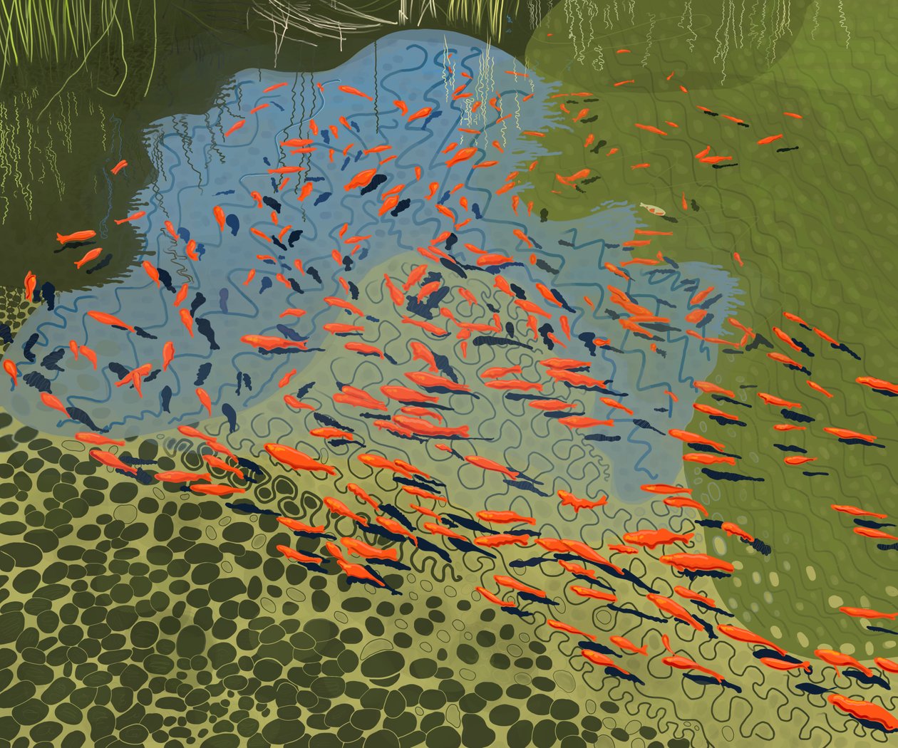 植物園のコイ池（デジタルアート） 作： エヴァン・スクラー