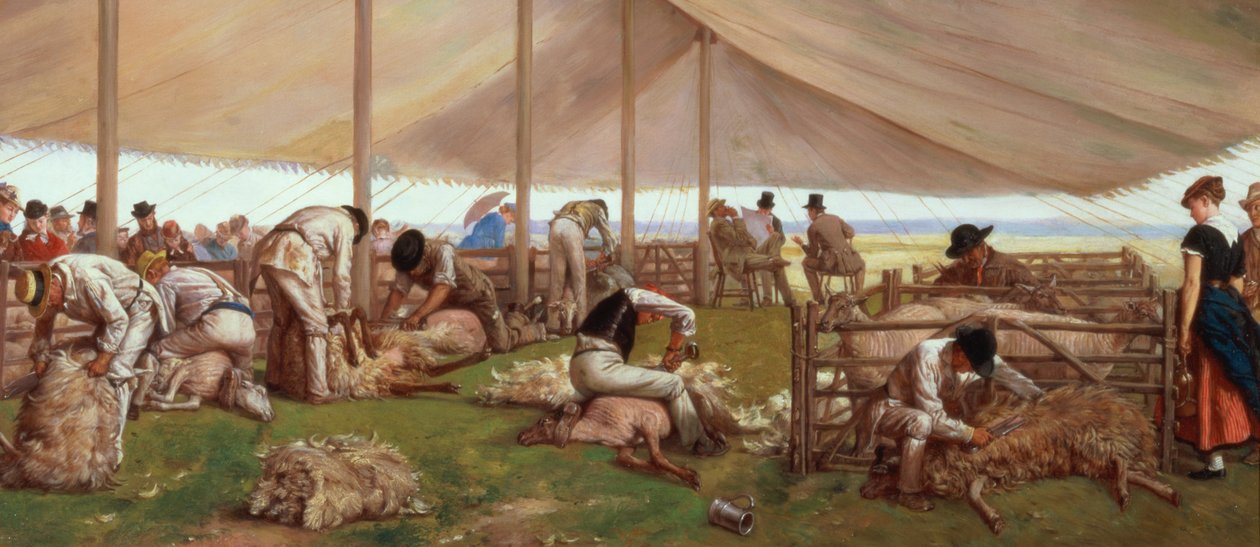羊のシャーリングマッチ、1875 作： Eyre Crowe