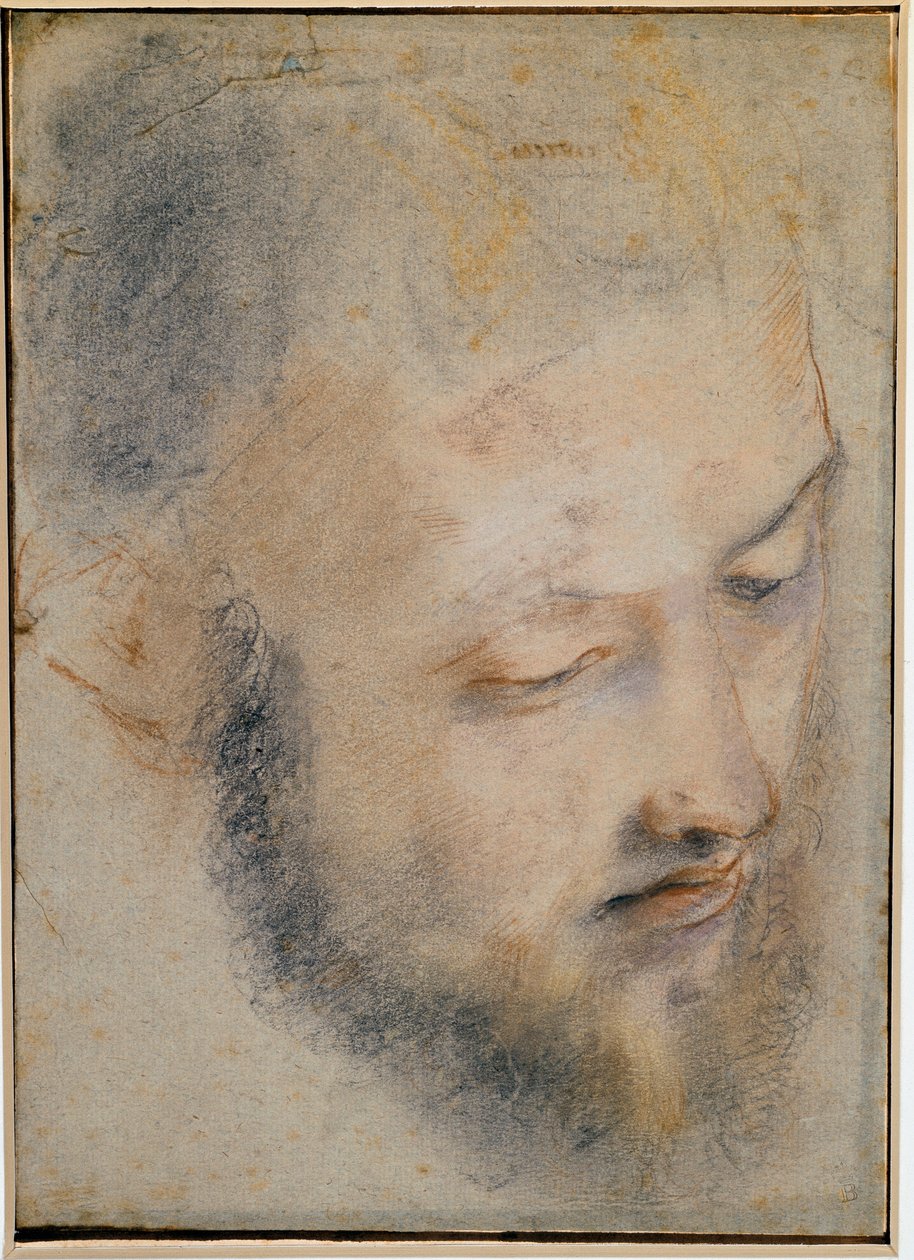 バロッシによる頭の描画の研究 作： フェデリコ・バロッキ