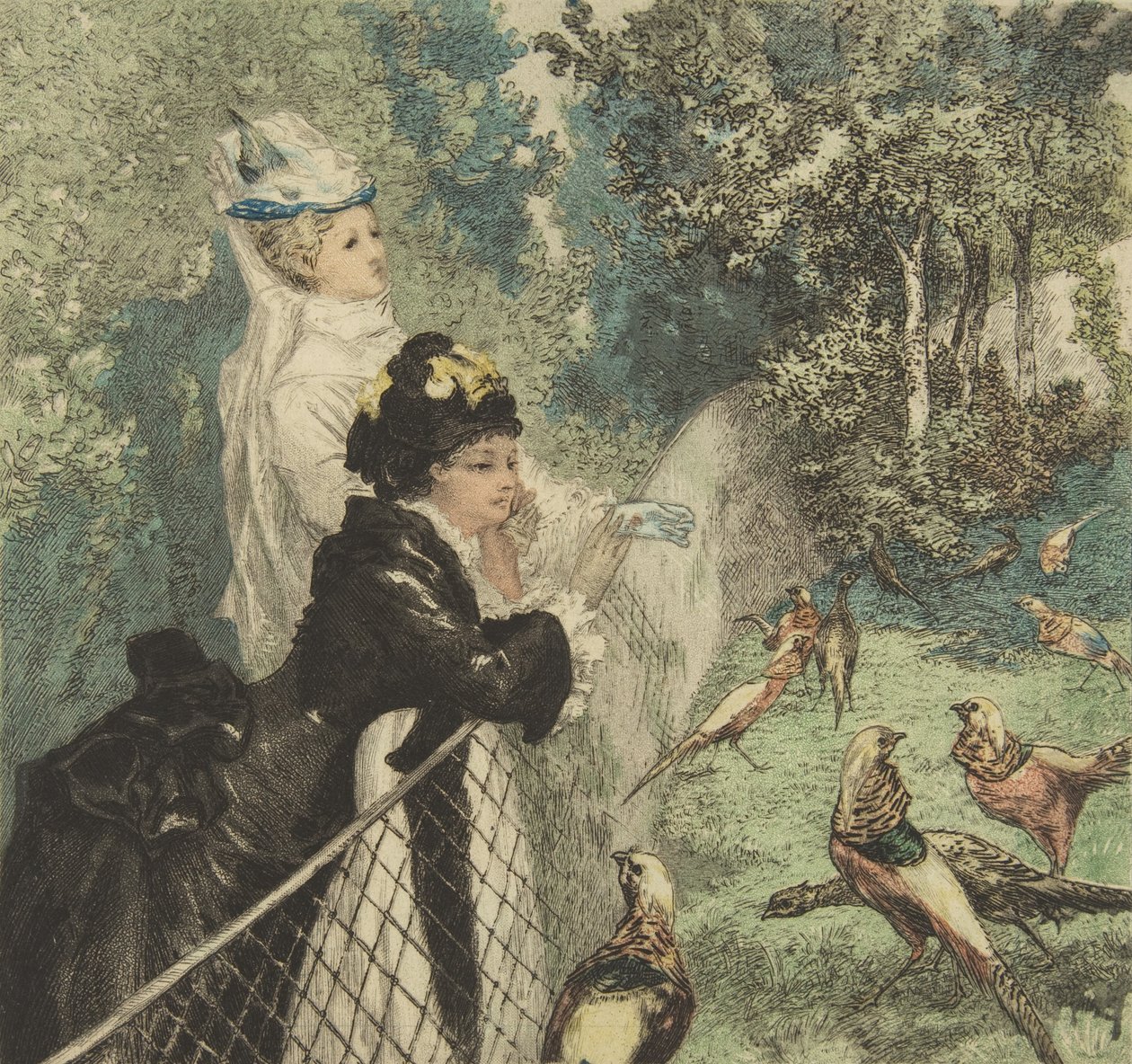 動物園では、カリフォルニア州。 1873年。 作： フェリックス・ブラクモンド