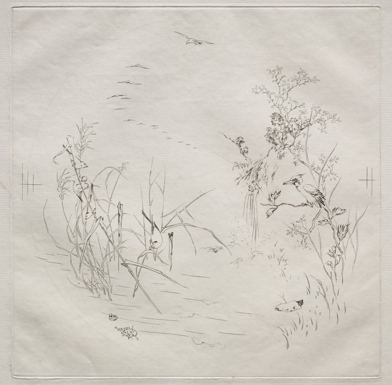 Parisian Service (ハビランド サービス): Calm (no. 3) 作： フェリックス・ブラクモンド