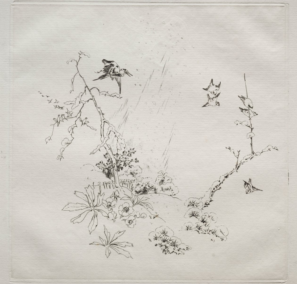 Parisian Service (ハビランド サービス): Snow (no. 6) 作： フェリックス・ブラクモンド