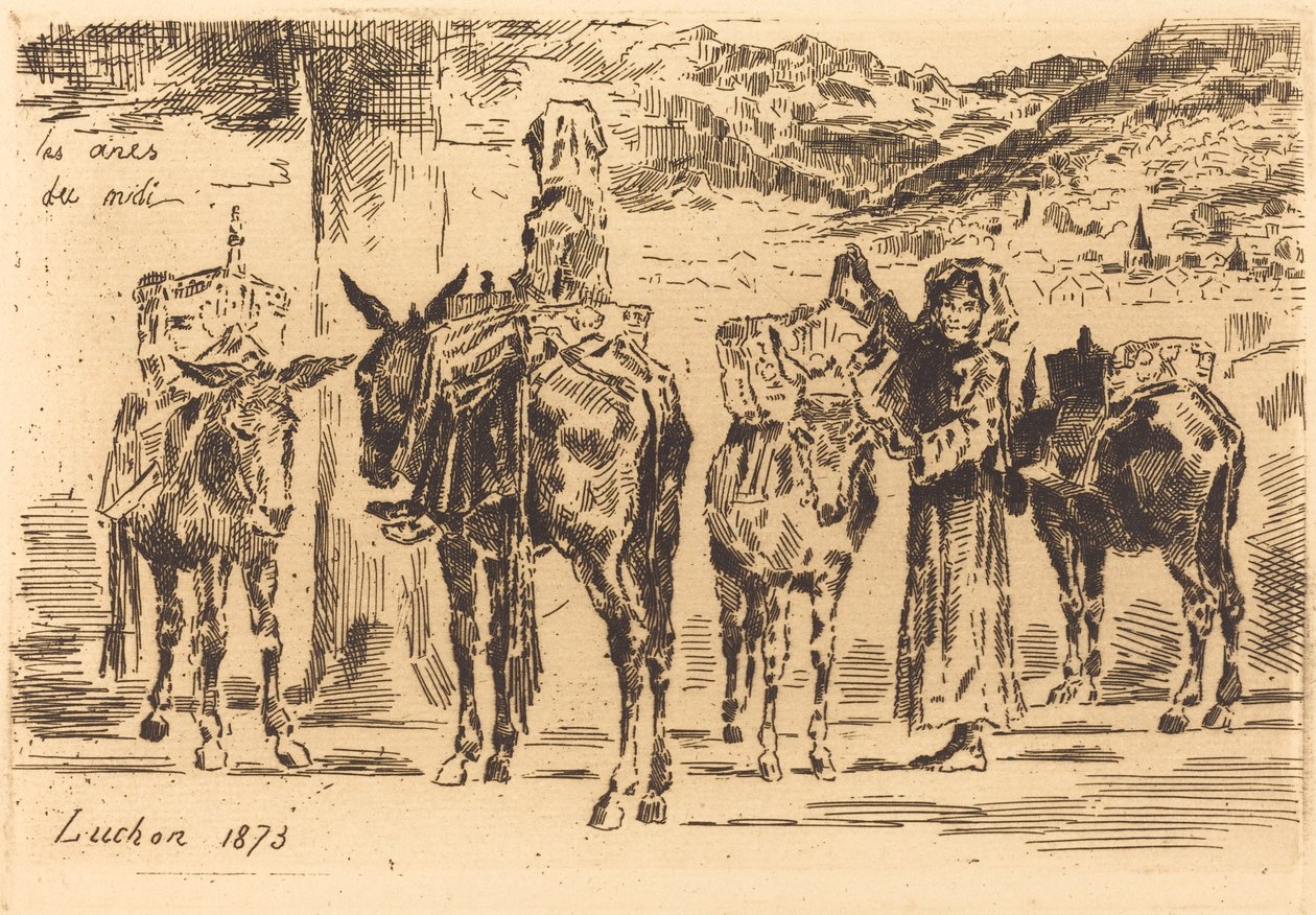南部からのロバのシーツ、1873年。 作： フェリックス・ヒレール・ブホ
