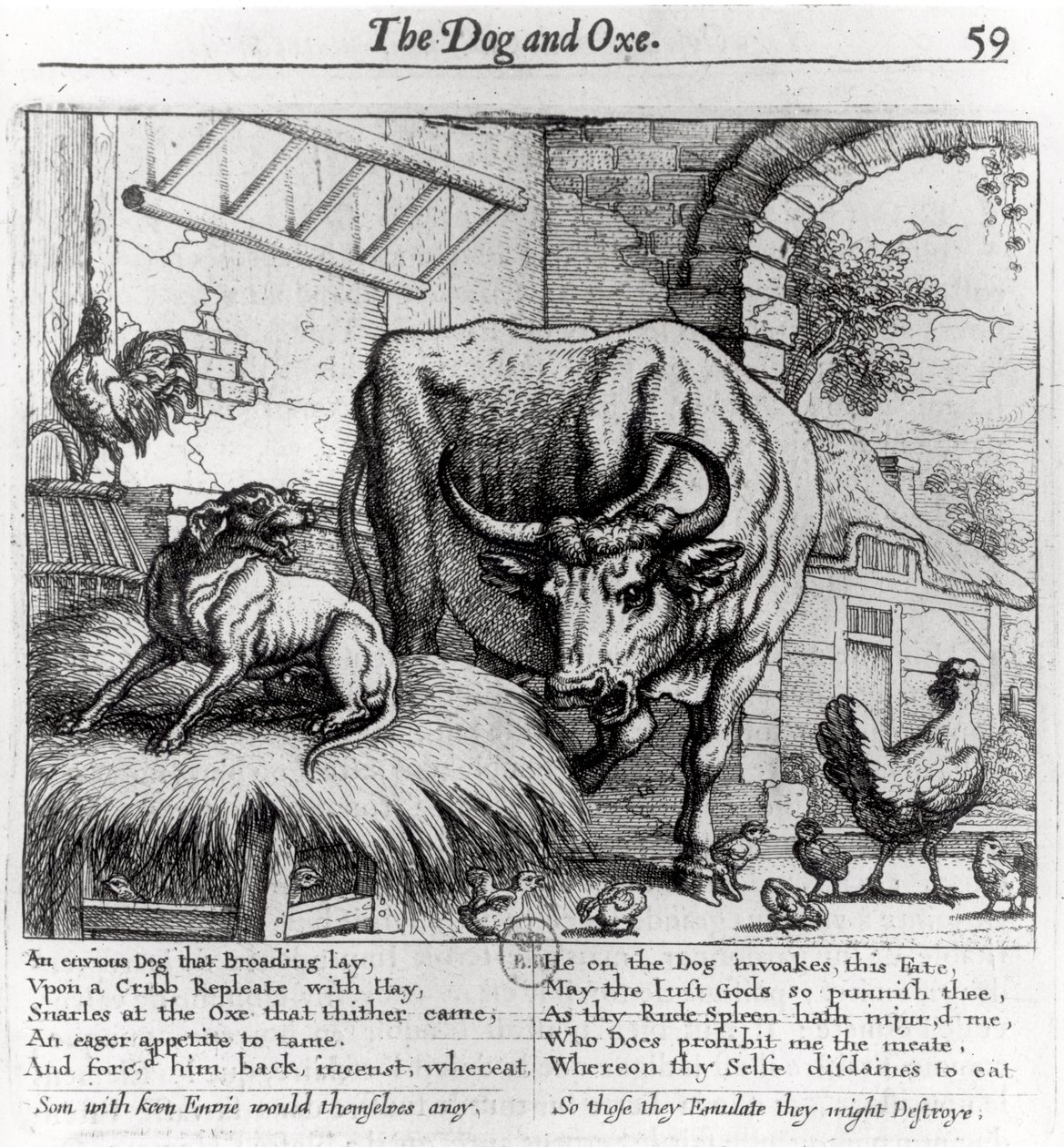 「犬と牛」のイラスト、イソップ寓話、1666年 作： フランシス・バーロウ