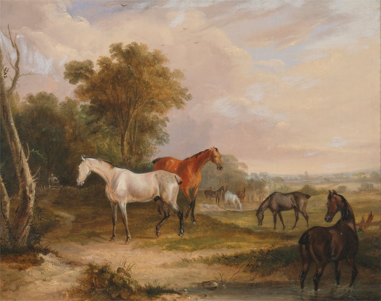 放牧馬-牧草地で雌馬を放牧する灰色の種馬 作： フランシス・カルクラフト・ターナー