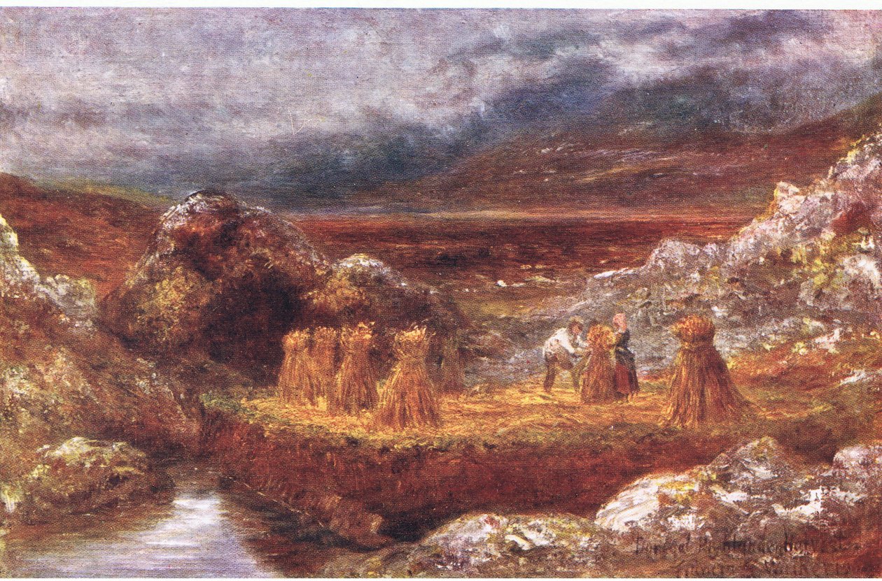 多くの土地でのピープからのドニゴールの収穫：アイルランドはAdams＆Charlesによって発行されました、1909 作： フランシス・S・ウォーカー
