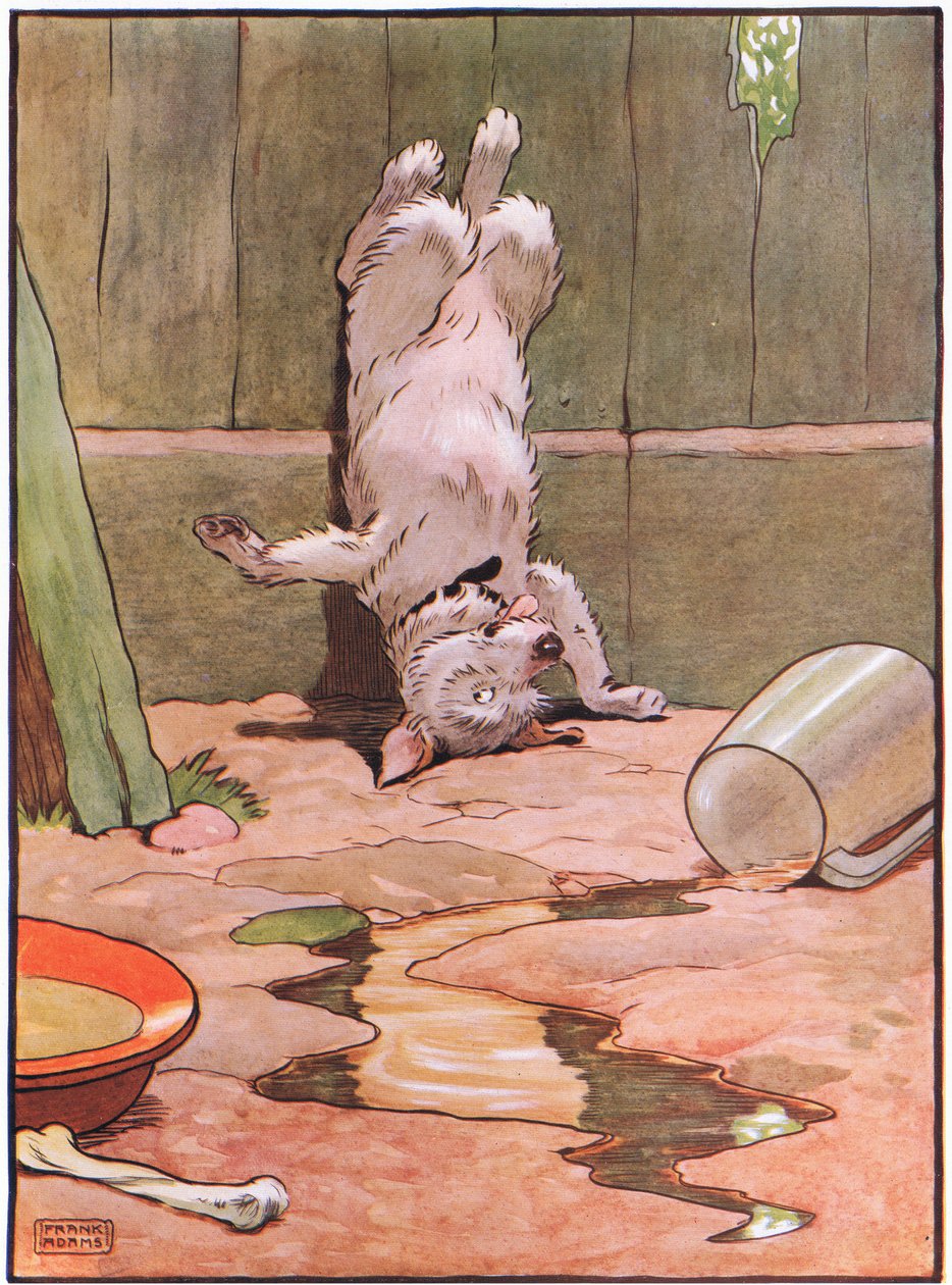 犬はその頭の上に立った、1930年代 作： フランク・アダムス