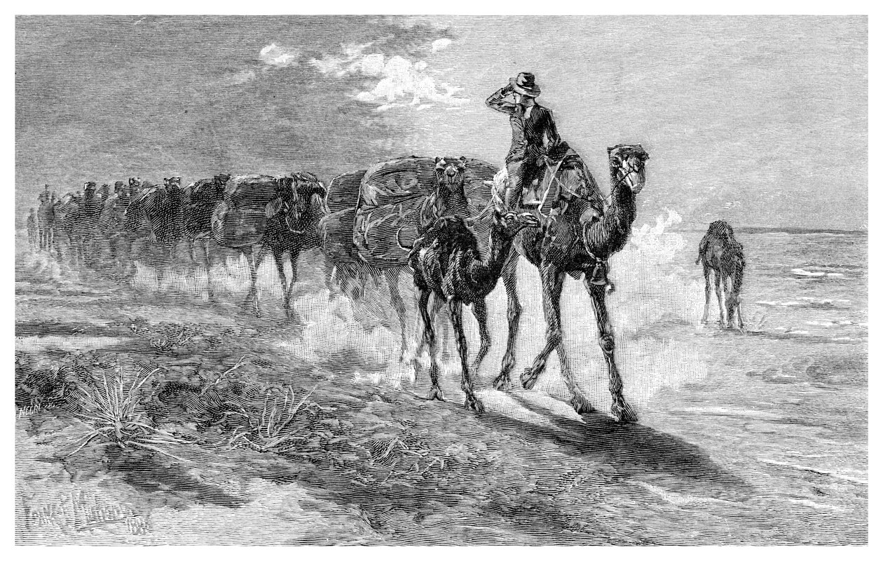羊毛を運ぶラクダ、1886年。 作： フランク・P・マホニー