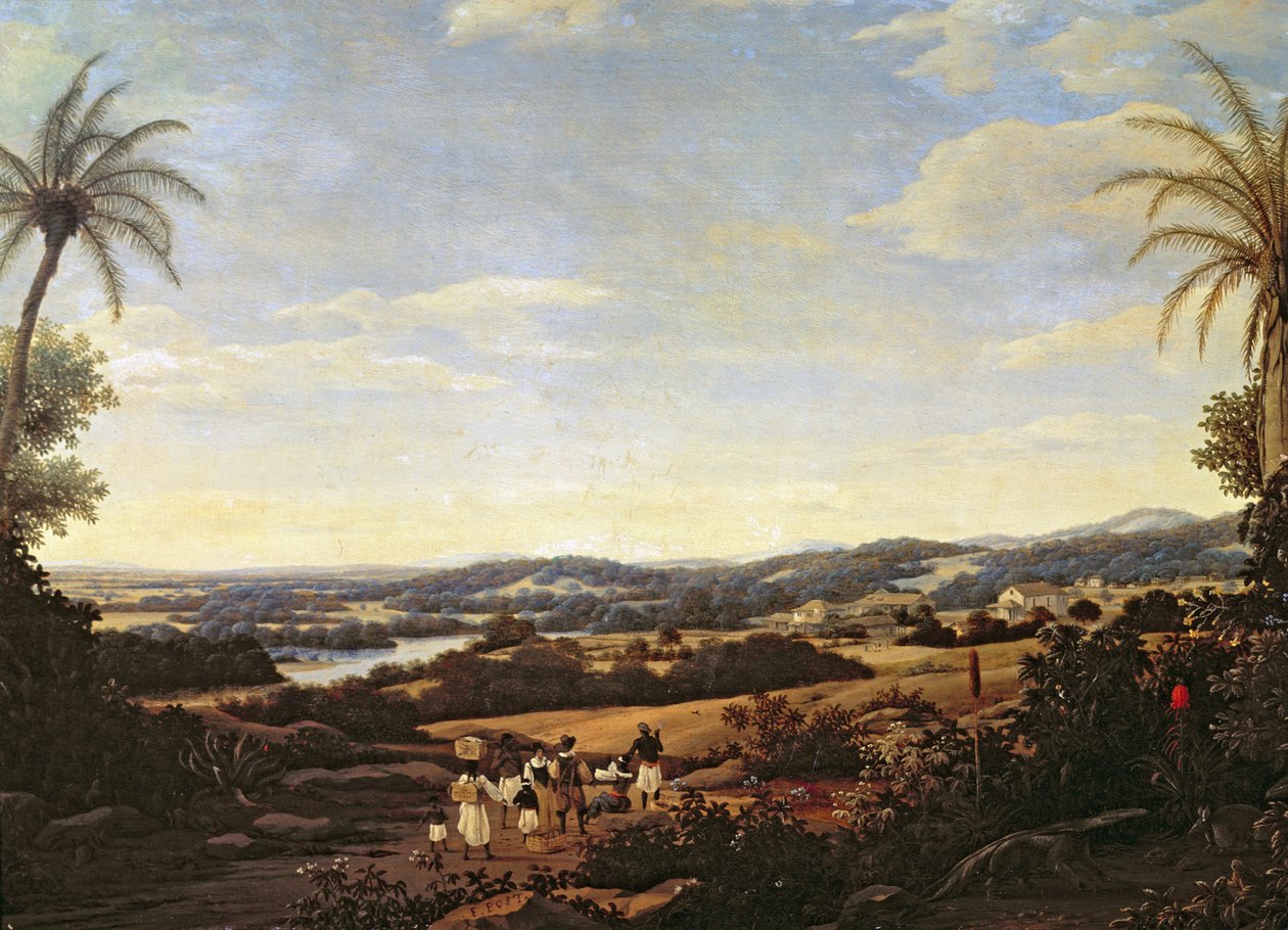 プランテーションのあるブラジルの風景 作： フランさんの投稿