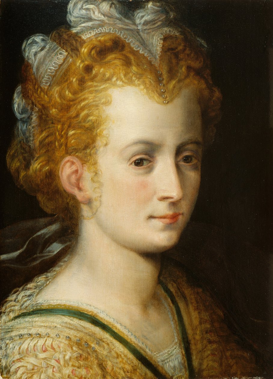 若い女性の頭、1555年頃 作： フランス・フロリス