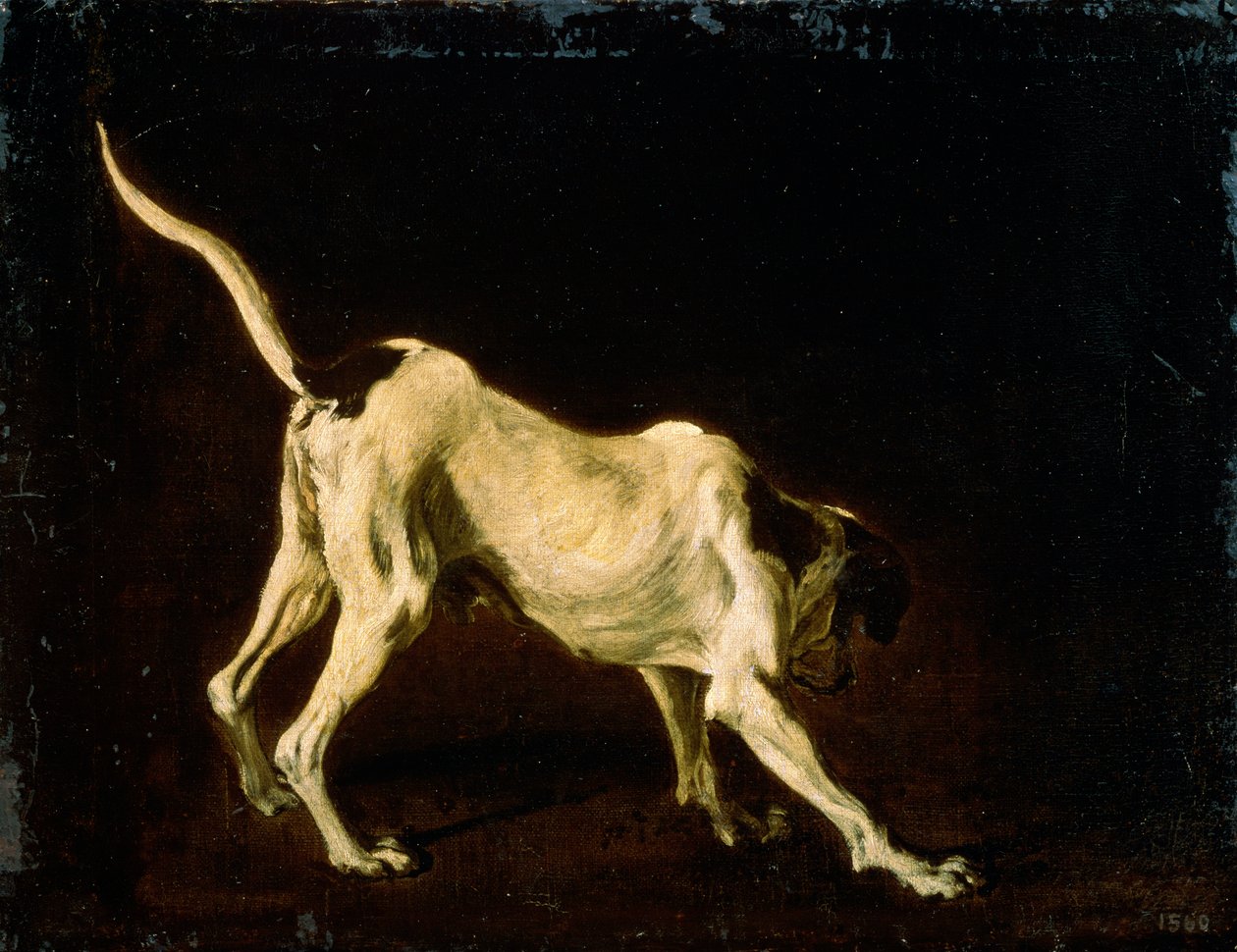 犬、17世紀 作： FransSnydersまたはSnijders