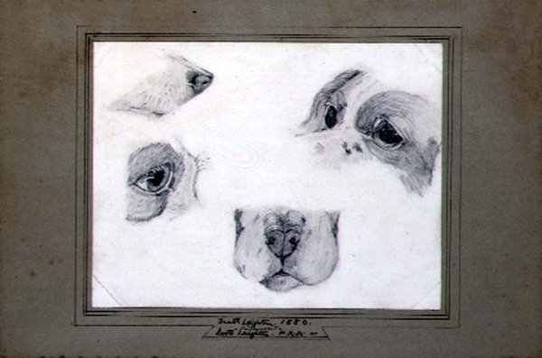 作家の愛犬の研究 作： フレデリック（attr。To）レイトン