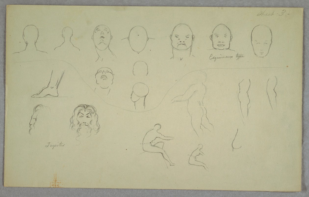 素描、解剖学的研究、1865-70年 作： フレデリックエドウィン教会