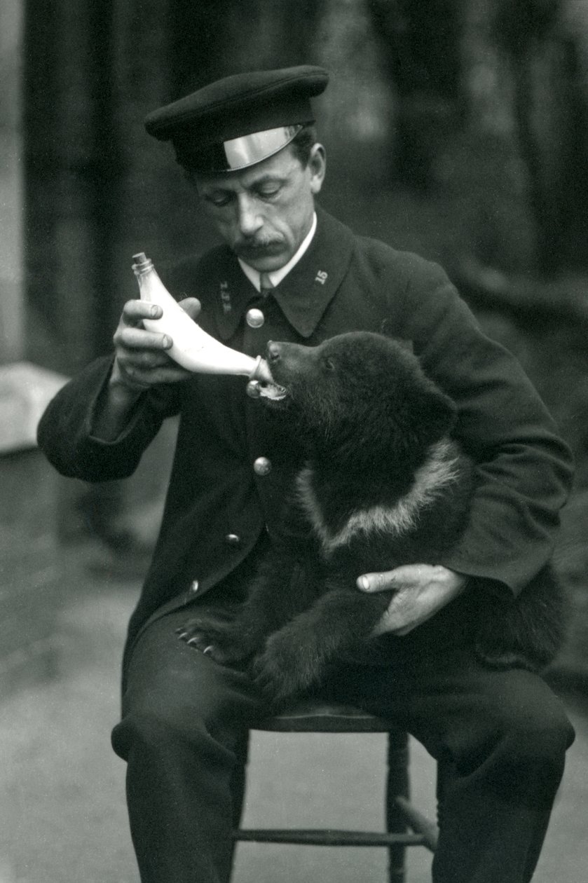 1914年5月にロンドン動物園で飼育係のレスリーマーティンフレウィンが哺乳瓶で飼育されているヒグマの子 作： フレデリックウィリアムボンド
