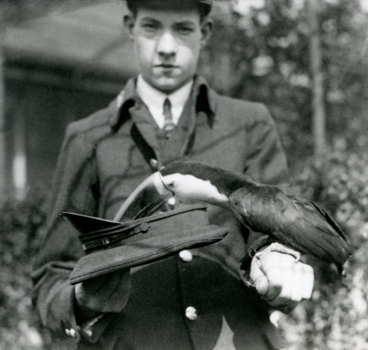 アカハシオオハシが帽子からチケットを引き、キーパーC.ハーシー、ロンドン動物園、1923年に開催（bw写真） 作： フレデリックウィリアムボンド