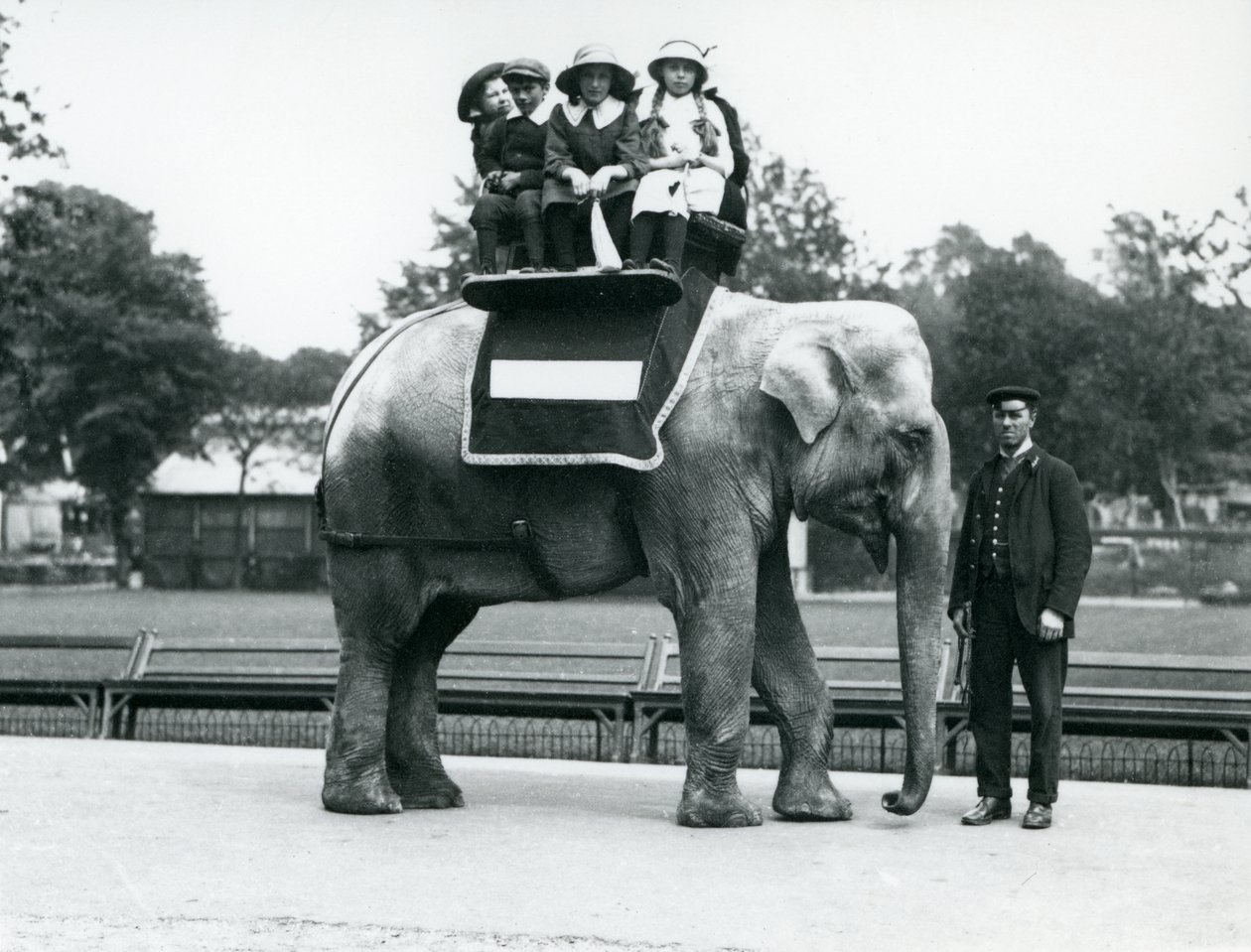 1914年5月、ロンドン動物園で子供たちを乗せている、飼育係のいる女性のインド象「ネリー」 作： フレデリックウィリアムボンド