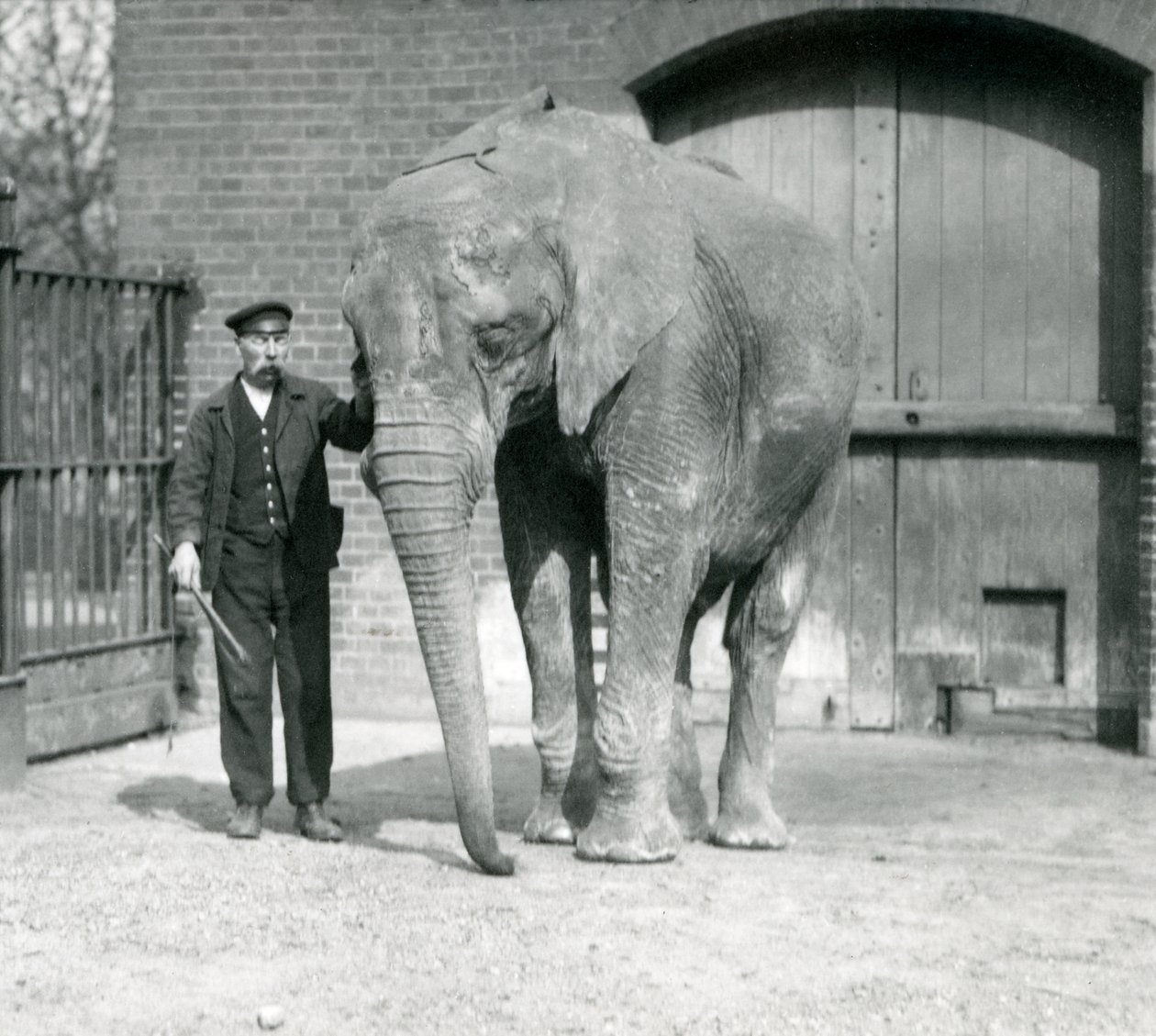 1914年4月、ロンドン動物園で飼育係のチャールズエイルズと一緒にした「ゾニー」アフリカゾウ 作： フレデリックウィリアムボンド