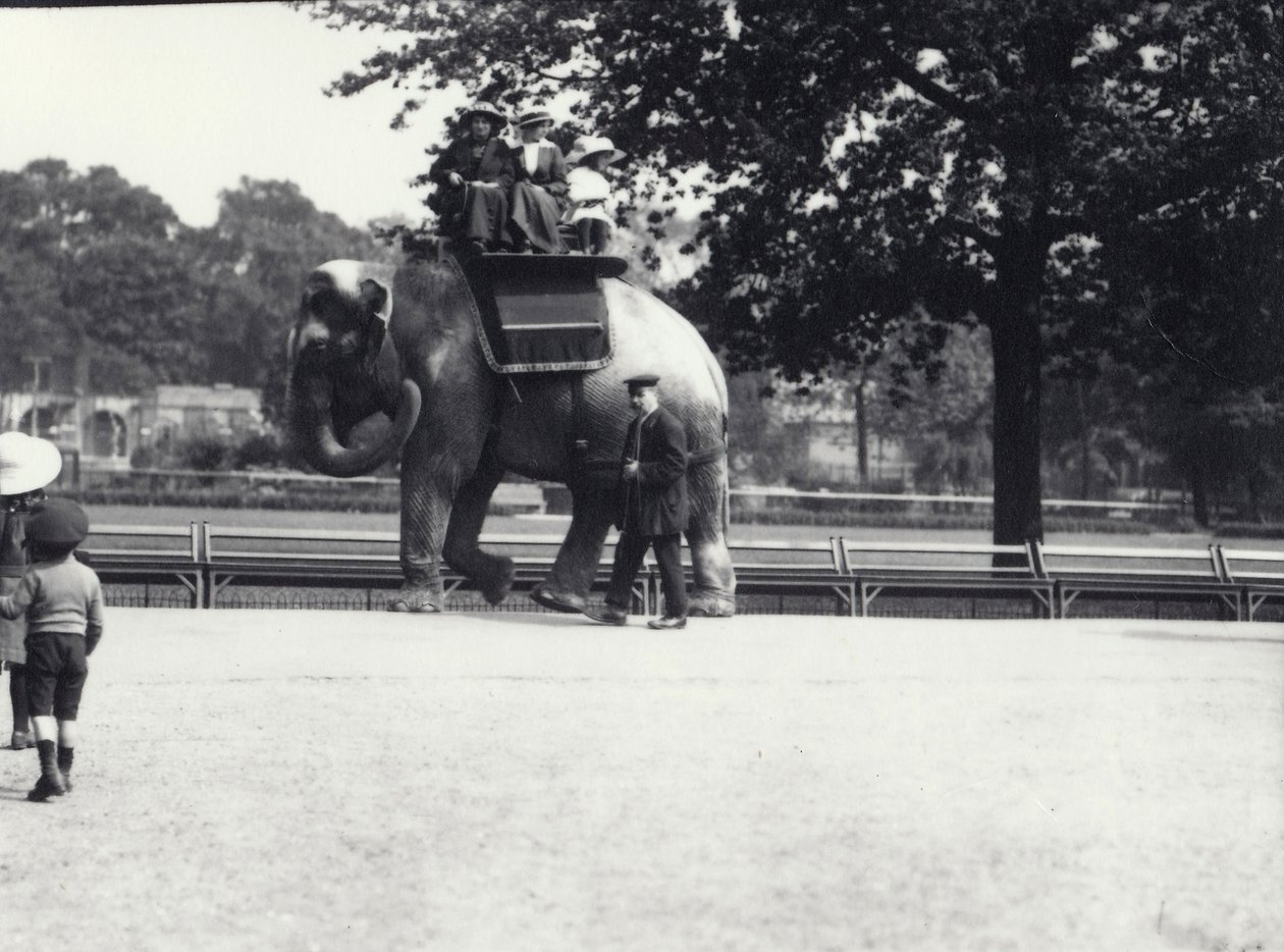 1914年5月、ロンドン動物園で飼育係を交えた2人の女性と1人の少女が乗ったアジアゾウ 作： フレデリックウィリアムボンド