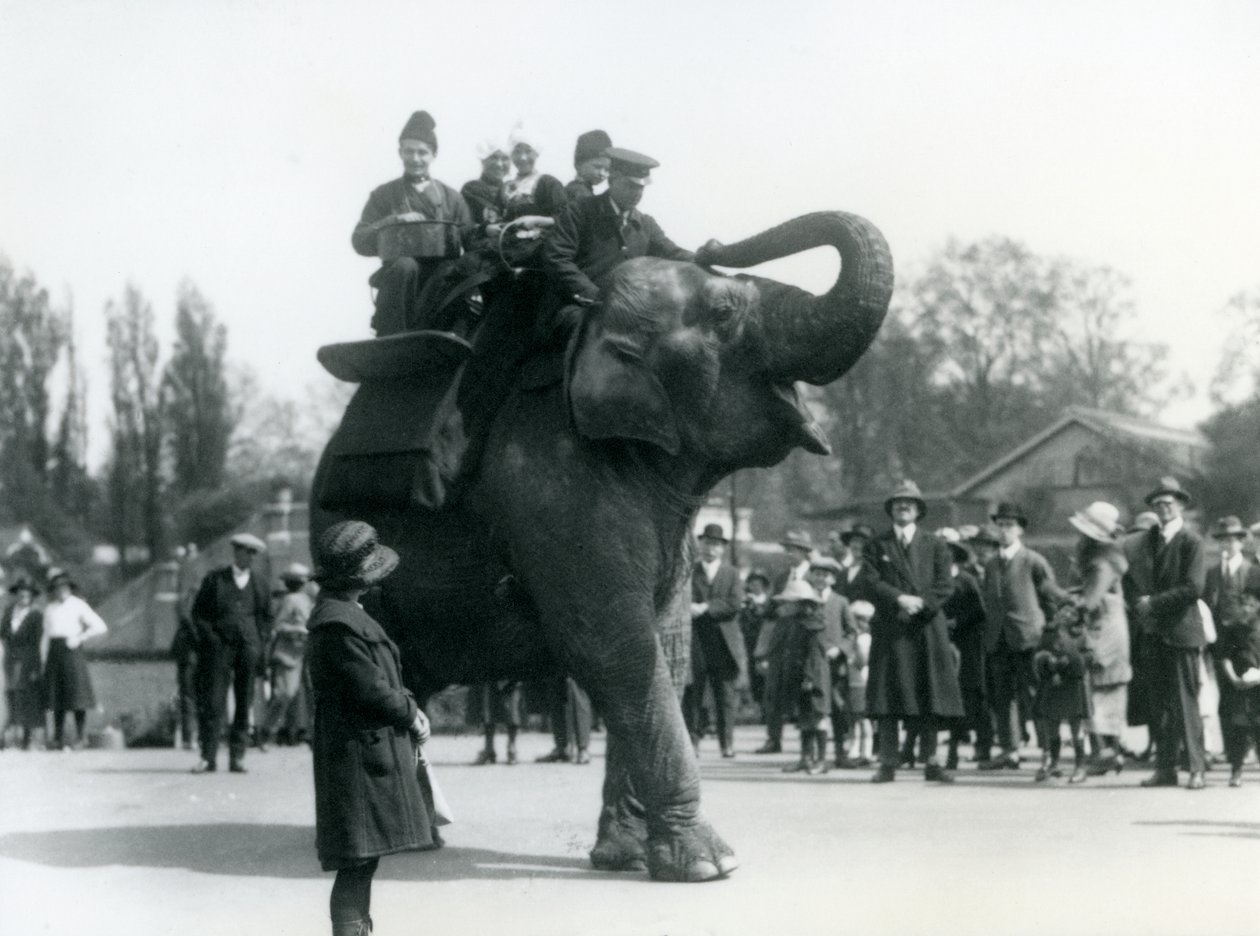 1923年5月にロンドン動物園で見物人の群衆に見られたアルメニア人の訪問者がインディアラニに乗る（bw写真） 作： フレデリックウィリアムボンド