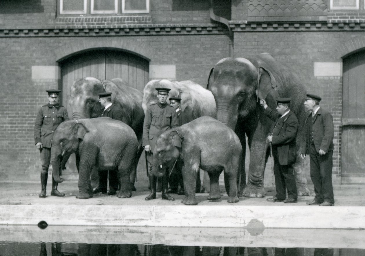 1914年4月、ロンドン動物園でのチャールズエイルズを含む飼い主と一緒のアジアゾウ 作： フレデリックウィリアムボンド