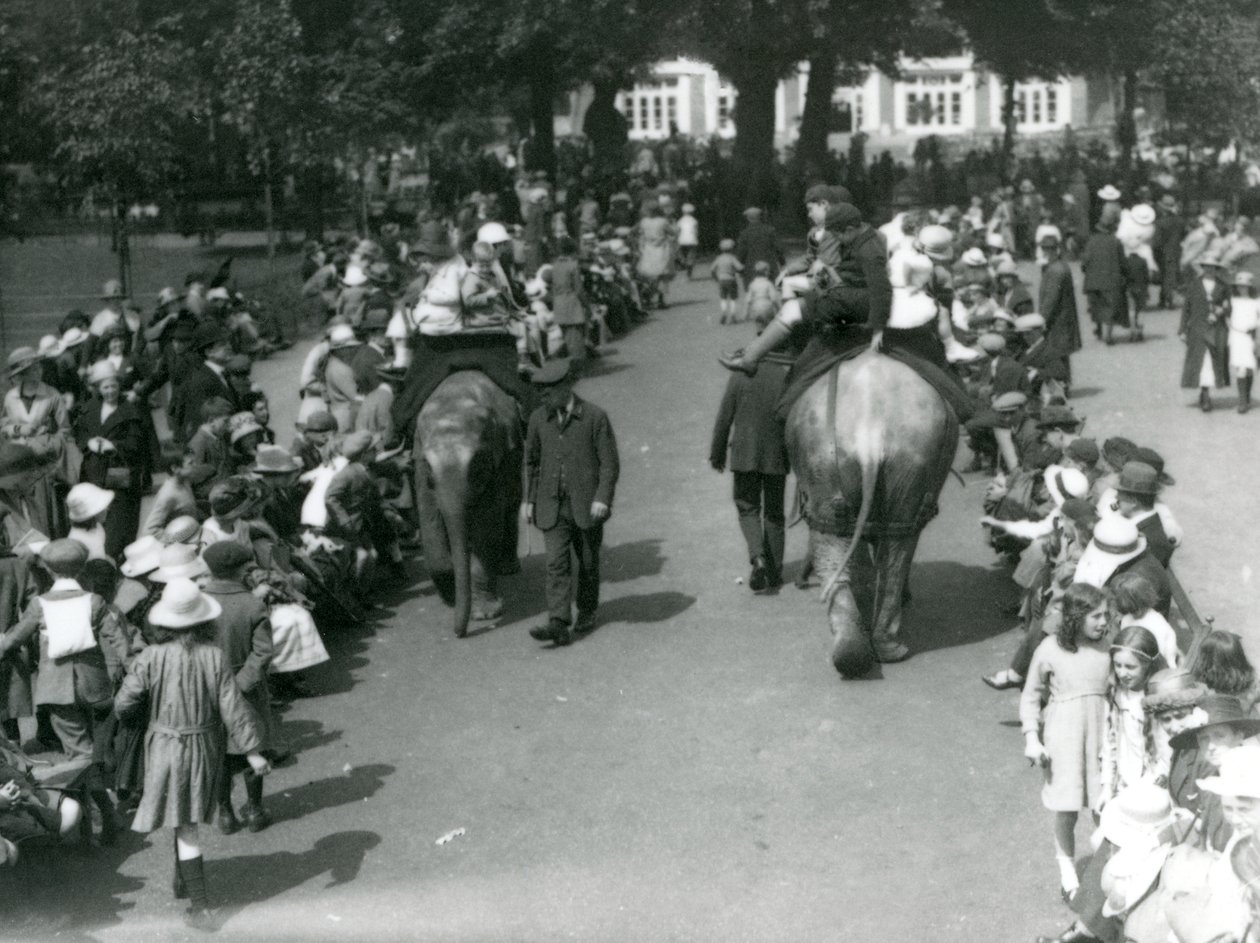 ロンドン動物園で見物人の群衆と一緒に乗ったアジアゾウ、1922年（bw写真） 作： フレデリックウィリアムボンド