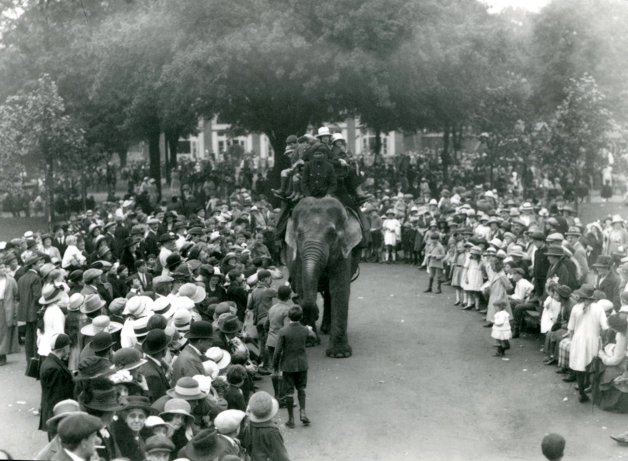 1922年8月の銀行休業日、ロンドン動物園で象の乗馬を観戦する観衆 作： フレデリックウィリアムボンド