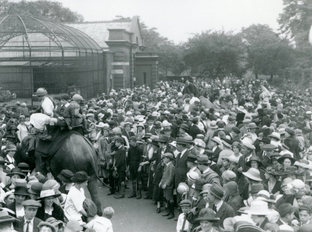 1922年8月の銀行休業日、ロンドン動物園で象の乗馬を観戦する観衆 作： フレデリックウィリアムボンド