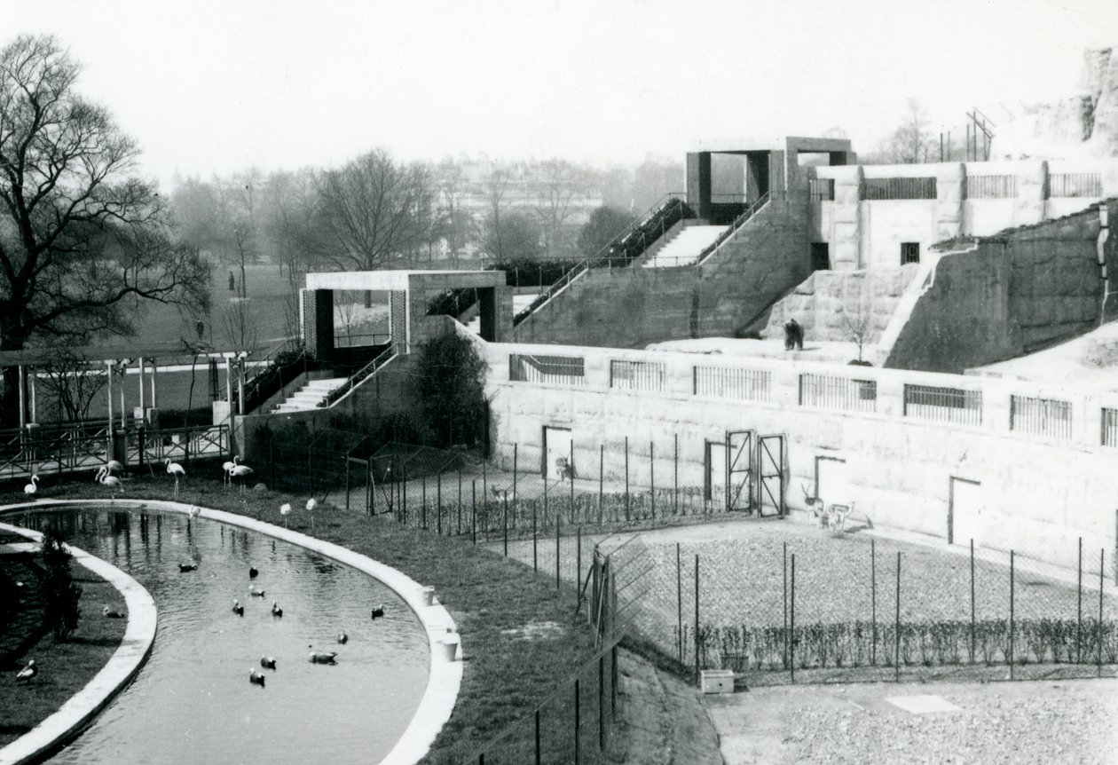 Mappin Terraces、ロンドン動物園、1922年の前のエンクロージャ 作： フレデリックウィリアムボンド