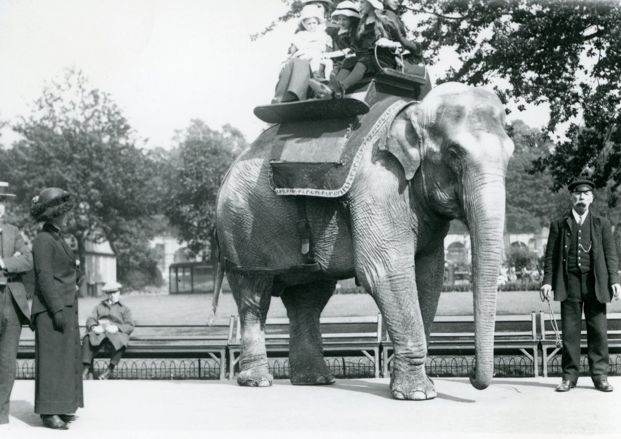 1914年5月にロンドン動物園で訪問者が見ている間、子供たちをキーパーのチャールズエイルスと一緒に子供たちに乗せる女性インド象「ルキ」 作： フレデリックウィリアムボンド