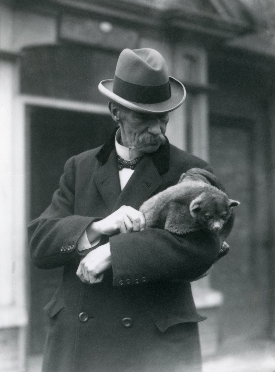Reginald Innes Pocock FRSがロンドン動物園で金華城を所有、1923年（bw写真） 作： フレデリックウィリアムボンド