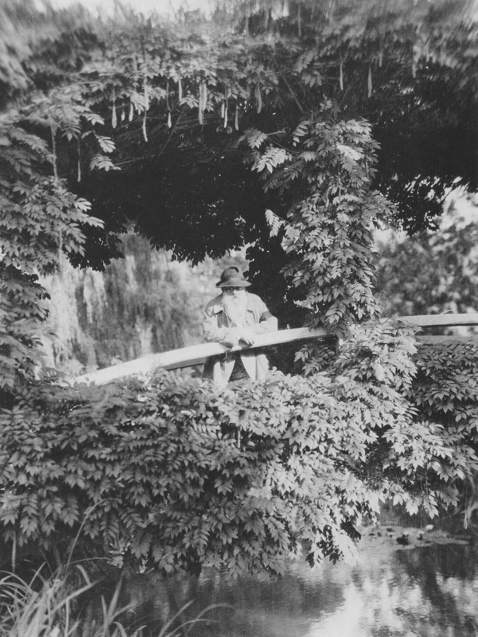 ジヴェルニーの庭にある日本橋のクロードモネ（1841-1926） 作： フランスの写真家