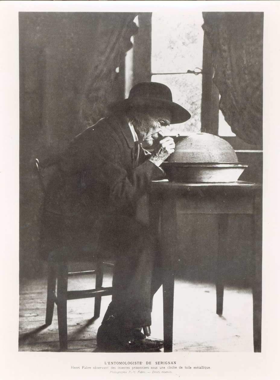 ジャン・アンリ・ファーブル（1823-1915）、1924年に出版されたお土産エントロモからの昆虫観察 作： フランスの写真家