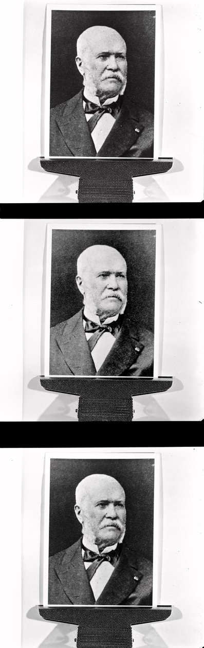 ユージーン・ベルグランドの肖像（1810-78）、c。 1870 作： フランスの写真家