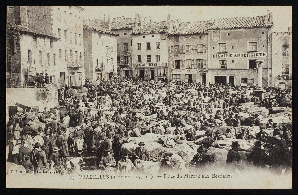 プラデルの牛市場を描いた絵葉書、1900年頃 作： フランスの写真家
