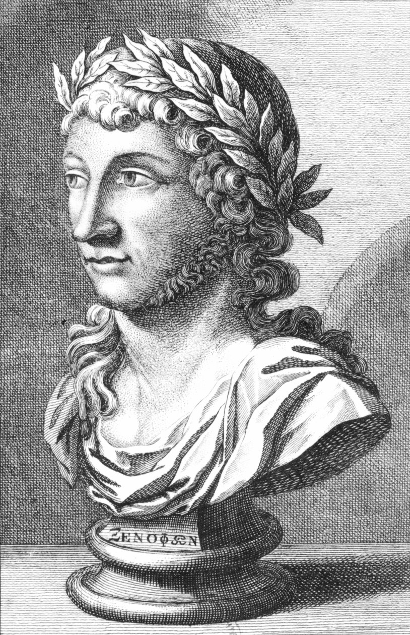 Xenophanes（c.560-c.478 BC）の胸像 作： フランス語学校