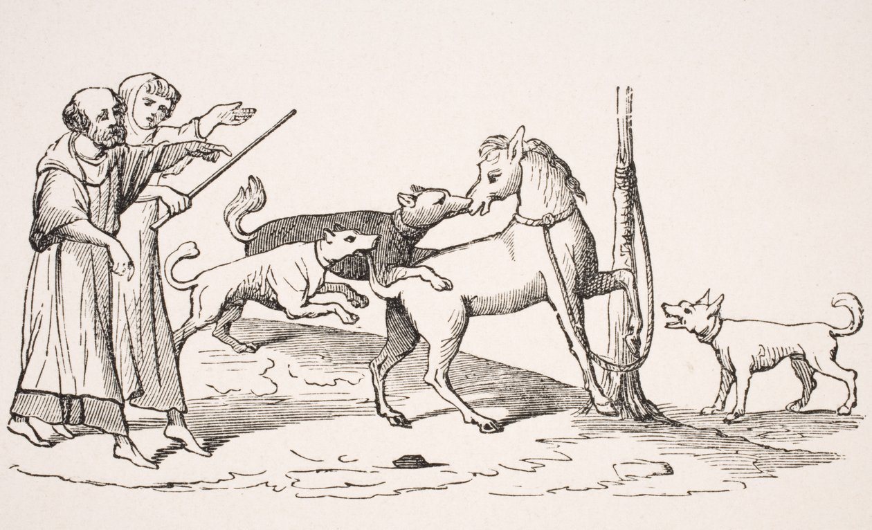 馬と犬の戦い、13世紀の写本でのミニチュアの複製、1847年に出版されたPaul Lacroix（1806-84）による「Le Moyen Age et La Renaissance」 作： フランス語学校