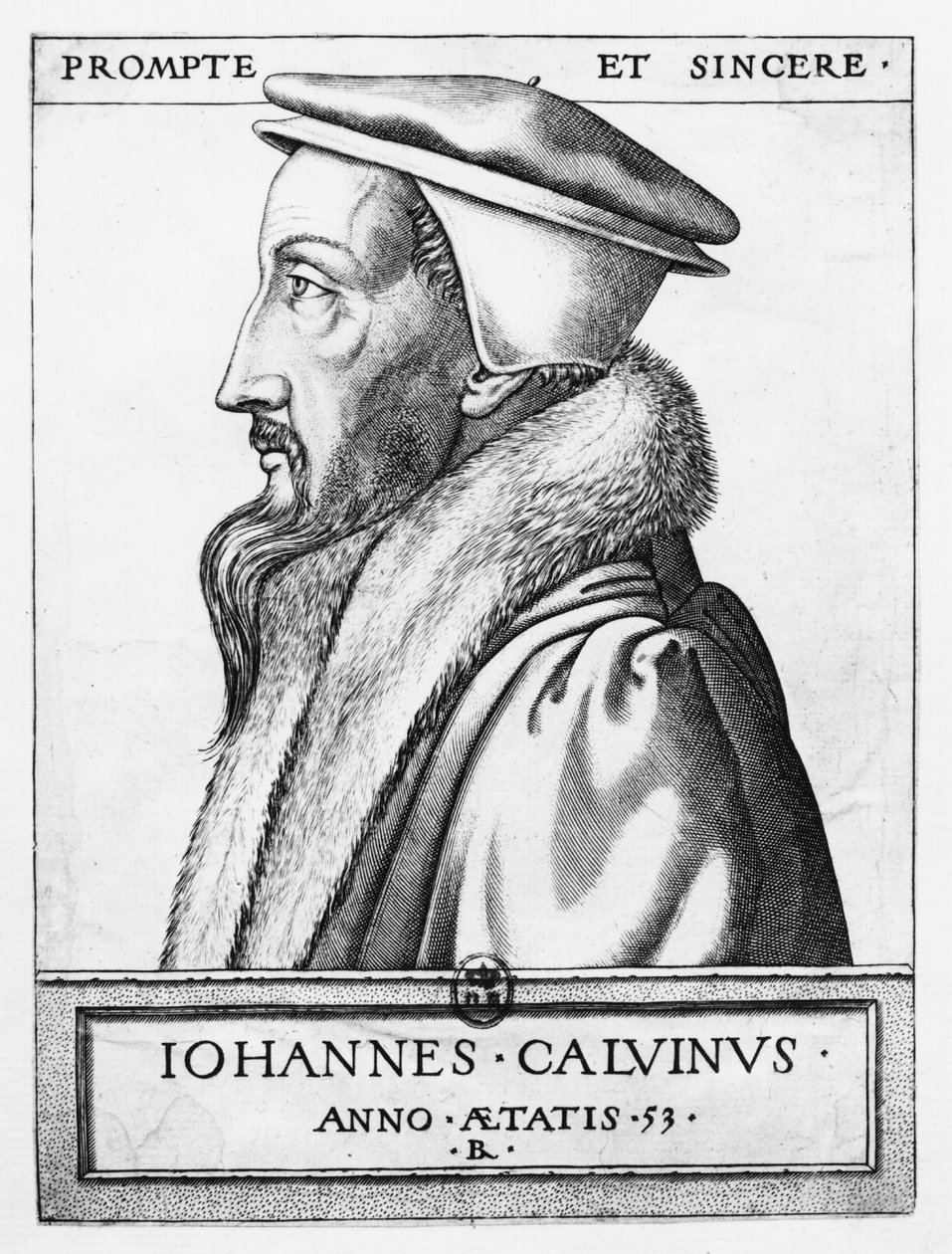 1564年53歳のジョンカルバン（1509-64）の肖像 作： フランス語学校