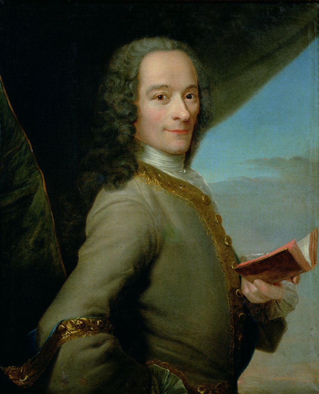 若いヴォルテールの肖像（1694-1778） 作： フランス語学校