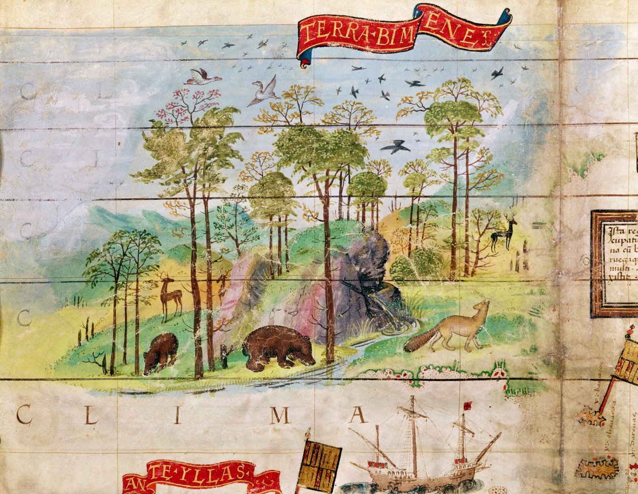 カナダの森、大西洋の地図からの詳細、1519 作： フランス語学校