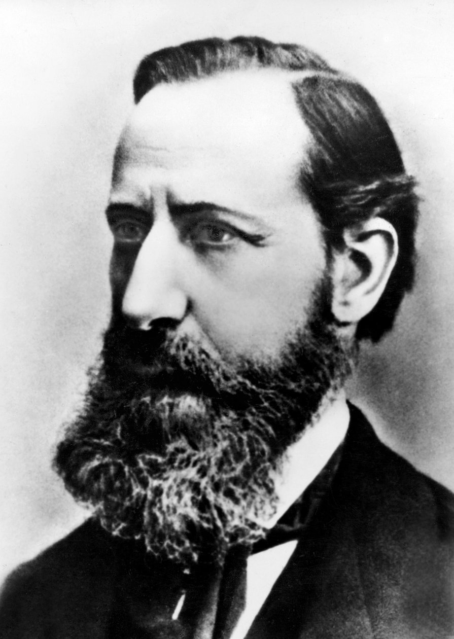 アンリネスレ、1875年頃 作： フランスの写真家