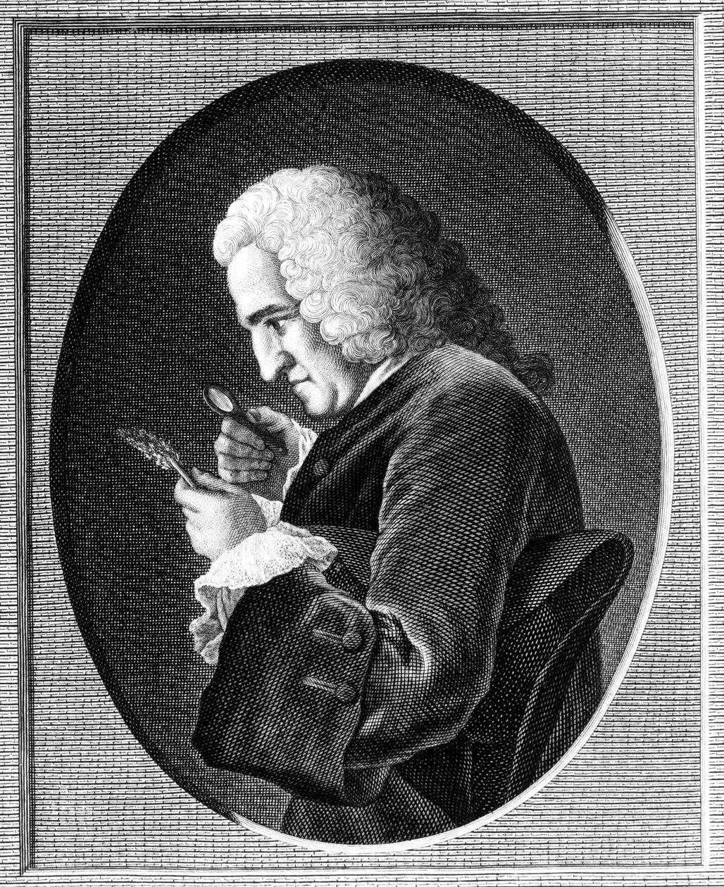 ベルナール・ド・ジュシューの肖像（1699-1777） 作： フランス語学校