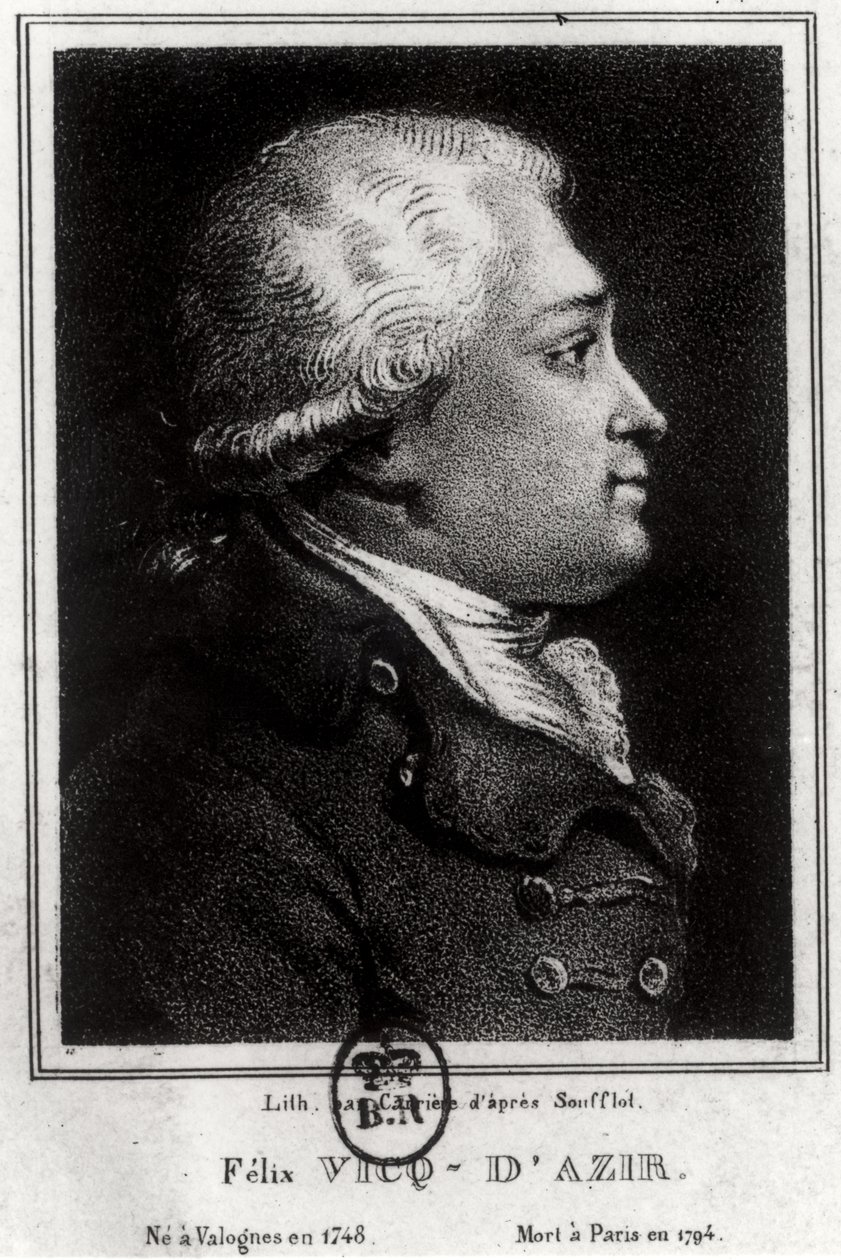 Felix Vicq dAzyr（1748-94）の肖像 作： フランス語学校