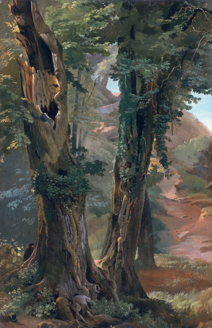 古いニレ、1835年頃（船上の紙に油彩） 作： フレデリック・ナーリー