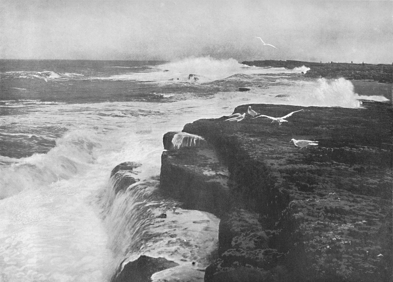 Filey Brigg、c1896 作： フリスとCo